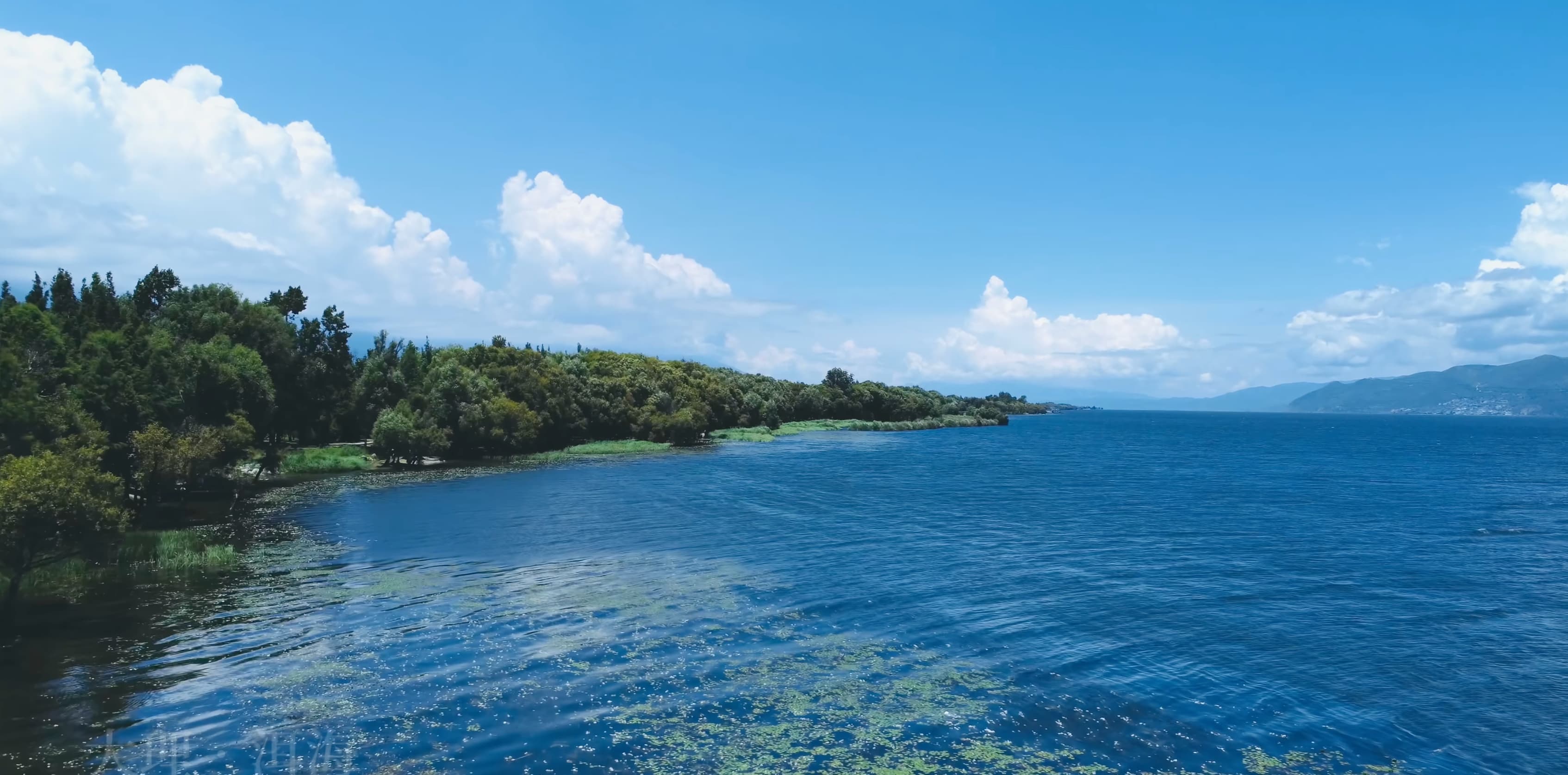 Laboratory Experiment